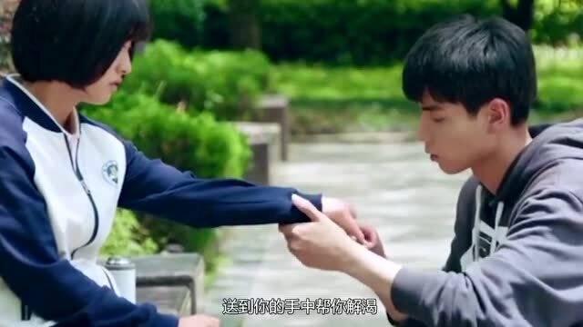 两会微访谈｜崔坤玄：解锁畅游海南新玩法 大力促进海南定制旅游行业发展