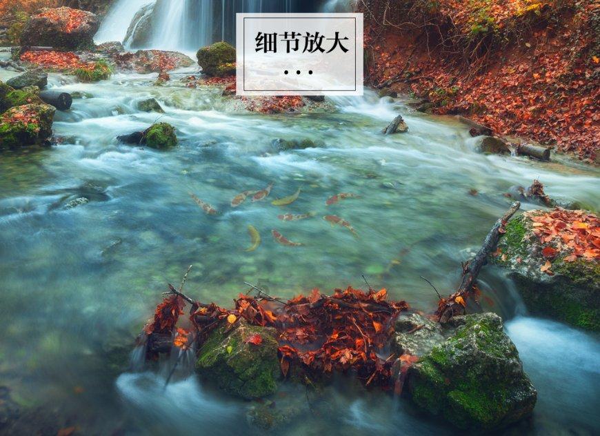归创通桥-B(02190.HK)：ZYLOXPenguin静至髂静脉支架系统获批上市